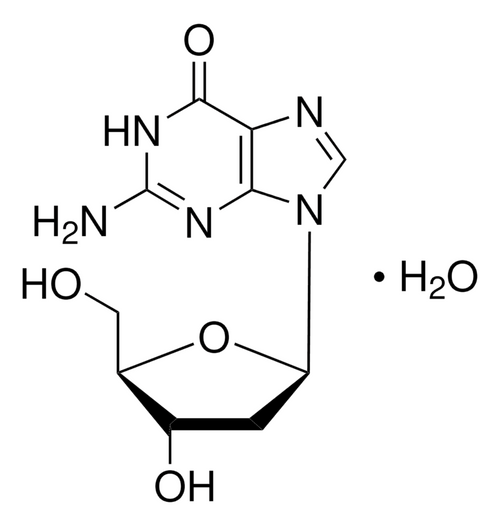 2'-deoxyguanosine monohydrate (c15-1230-244)