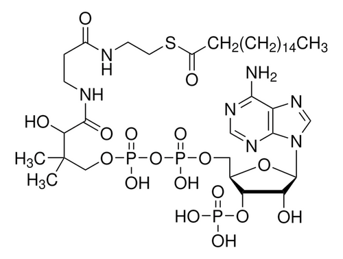 n-heptadecanoyl coenzyme a lithium salt