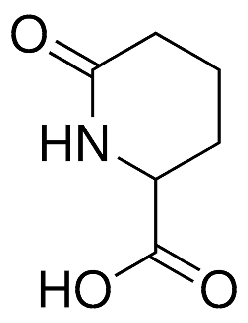 6-oxo-pipecolinic acid