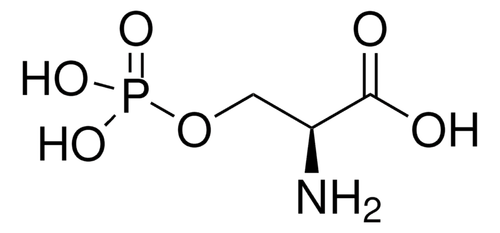 o-phospho-l-serine