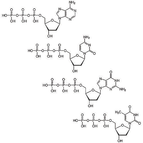 deoxynucleotide mix [25mm], 1ml