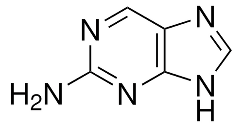 famciclovir related compound e