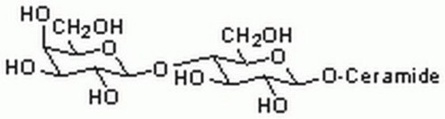 lactosyl ceramide, bovine - cas 4682-48-8 - calbiochem