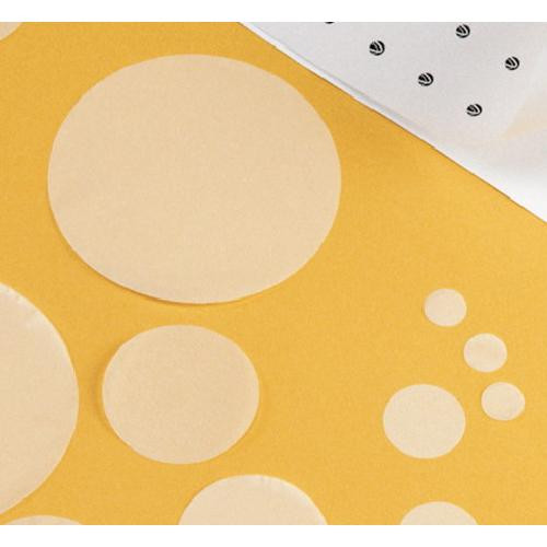 25mm pcte membrane 0.8 um