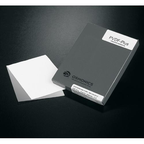 pvdf membrane, sheet, 20 x 20 cm
