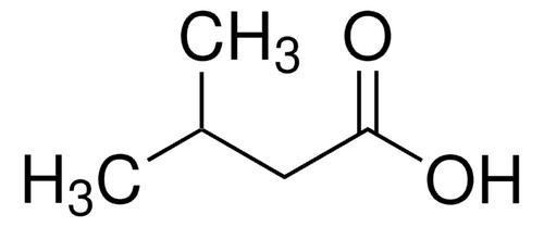 isovaleric acid (c15-1244-434)
