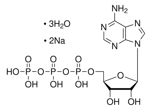 atp disodium salt 5g