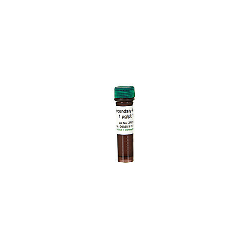 sc-ura, powder, 30g