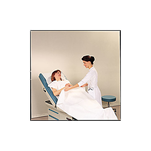 drape sheet, patient, 36" x 48", 2-ply tissue, white, 100/cs