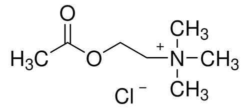 acetylcholine chloride (c15-1251-605)