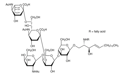 disialoganglioside-gd2 from bovine brain