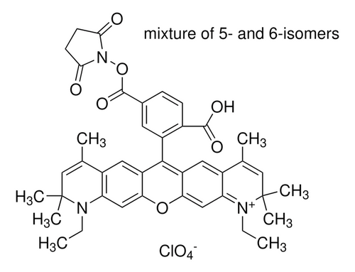 atto 590 nhs ester (c15-1256-692)