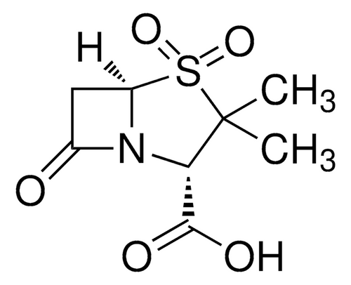 sulbactam