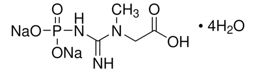 creatine phosphate 10g