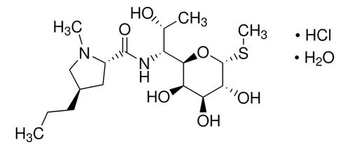 lincomycin hydrochloride monohydrate