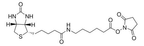 biotinamidohexanoic acid n-hydroxysuccinimide ester (c15-1259-650)