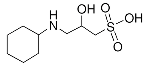 capso (c15-1260-200)