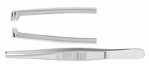 tissue forceps standard pattern 2x3 teeth 6 1/4"