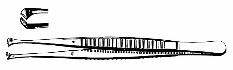 nelson tissue forceps, 6x7 teeth, length: 6
