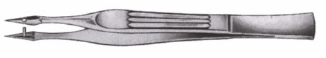 carmalt (hunter) splinter forceps, straight, length: 4.25