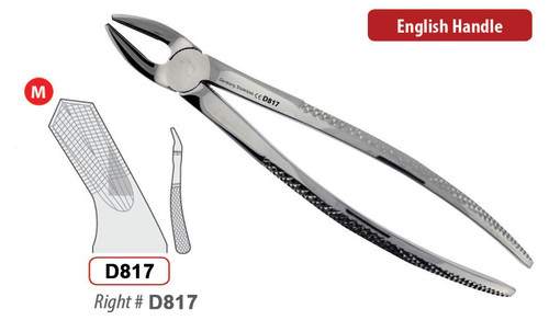 extraction forceps right upper molars