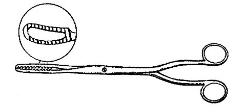 bierer ovum 11" 16 mm with o ratchet s1539-2016