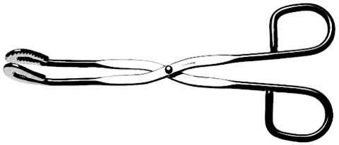 utility-sterilizer forceps, 8" (20.3 cm), straight s1419-0320
