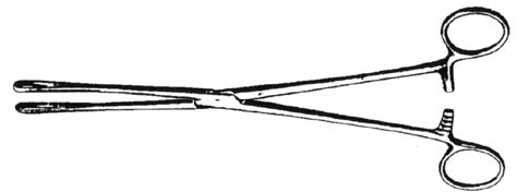 forbes placenta forceps, 25.5cm/10in s1539-2026