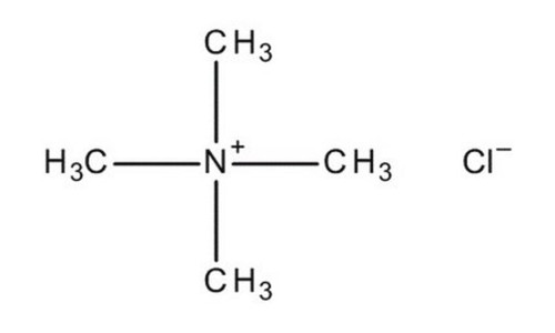 tetramethylammonium chloride for synthes (c15-1278-795)