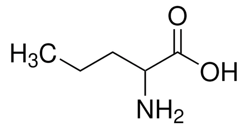dl-norvaline