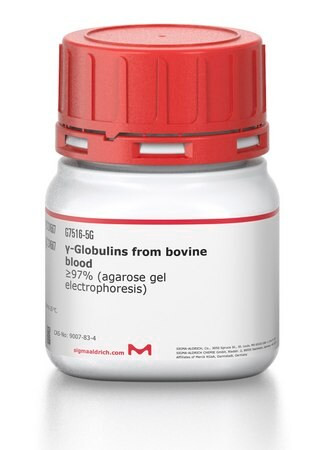 gamma-globulins from bovine blood (c15-1290-958)