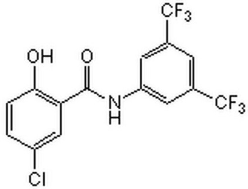 ikk-2 inhibitor v - cas 978-62-1 - calbiochem