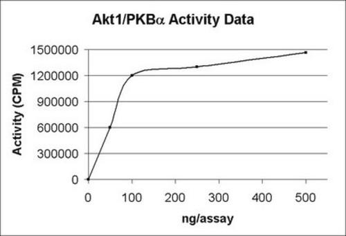 akt1/pkbalpha protein, active, 15 µg (c15-1298-401)