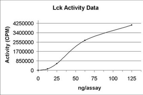 lck protein, active, 10 µg