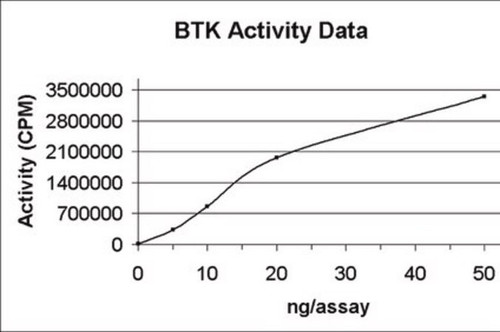 btk protein, active, 10 µg