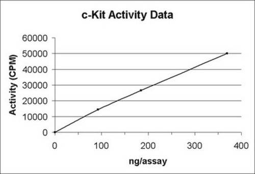 c-kit protein, active, 10 µg (c15-1298-538)