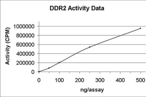 ddr2 protein, active, 10 µg