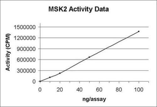 msk2 protein, active, 10 µg