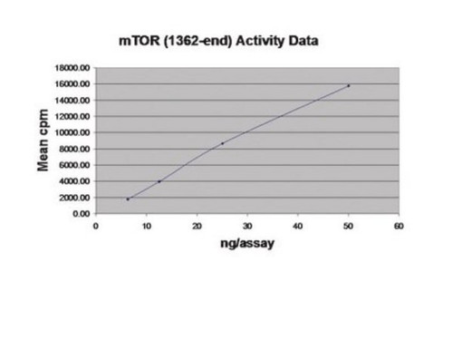 mtor (1362-end) protein, active, 10 µg