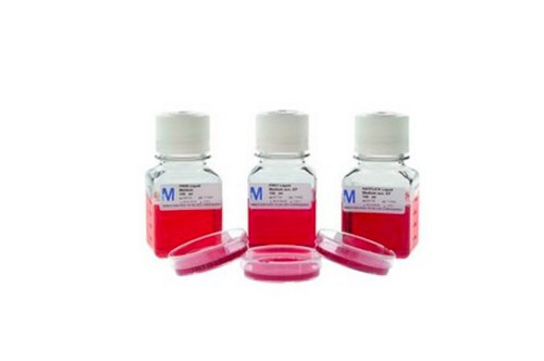 frey liquid medium acc. ep