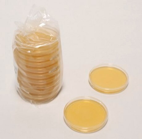 tryptic soy agar acc iso  fda-bam and ep + usp readyplatetm (c15-1298-983)