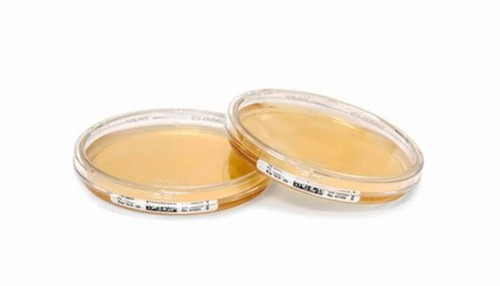 tsa w. penase lththio sedi. icr+  30 ml (c15-1299-063)
