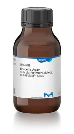brucella agar