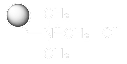 amberlite(r) ira-900 chloride form