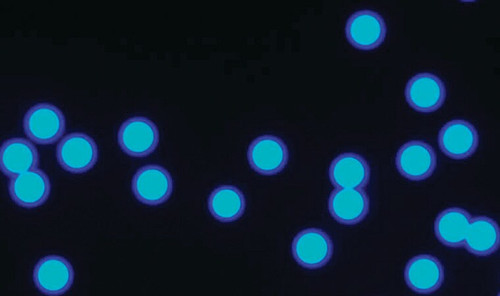 micro particles based on polymethacrylate (c15-1308-810)