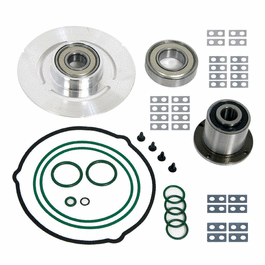 bearing service kit for scroll vacuum pump