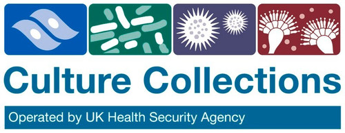 hak hamster syrian kidney (c15-1311-823)