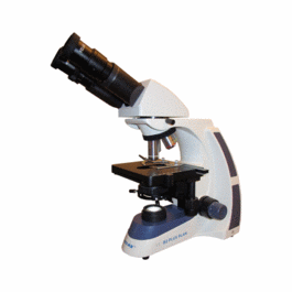 ve-b2 plus plan binocular microscope