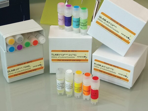 dlam-abetavpros-13ch3 methyl labeling kit (c15-1312-192)
