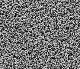 cn membrane 0.45um 293mm (c062b-016631)